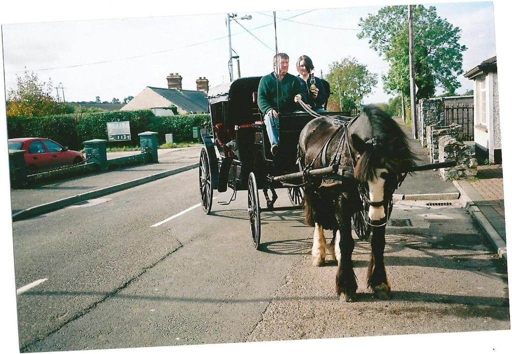 Dalys Inn Donore  Dış mekan fotoğraf
